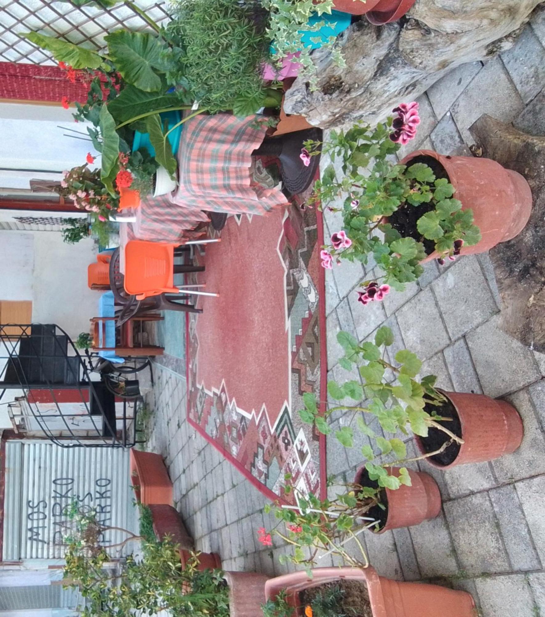 Casa Mia Hostel Vlorë Buitenkant foto